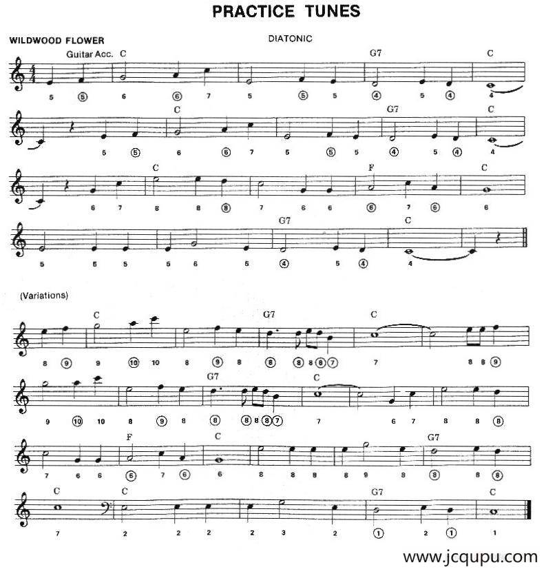 PRACTICE TUNES（布鲁斯入门初级乐曲2首、五线谱）简谱
