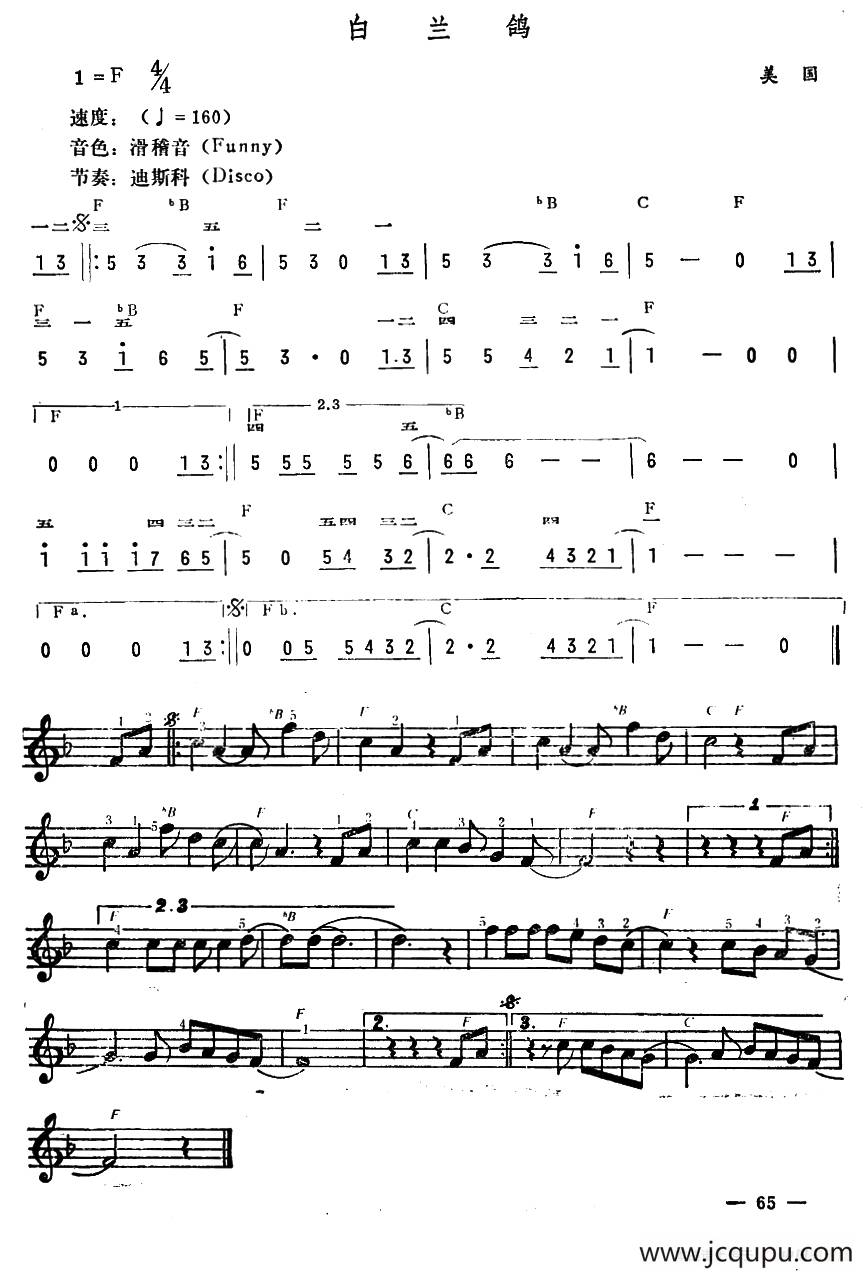 白兰鸽简谱