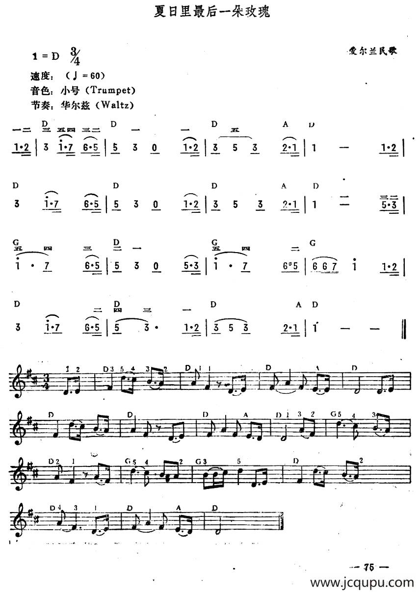 夏日里最后一朵玫瑰简谱