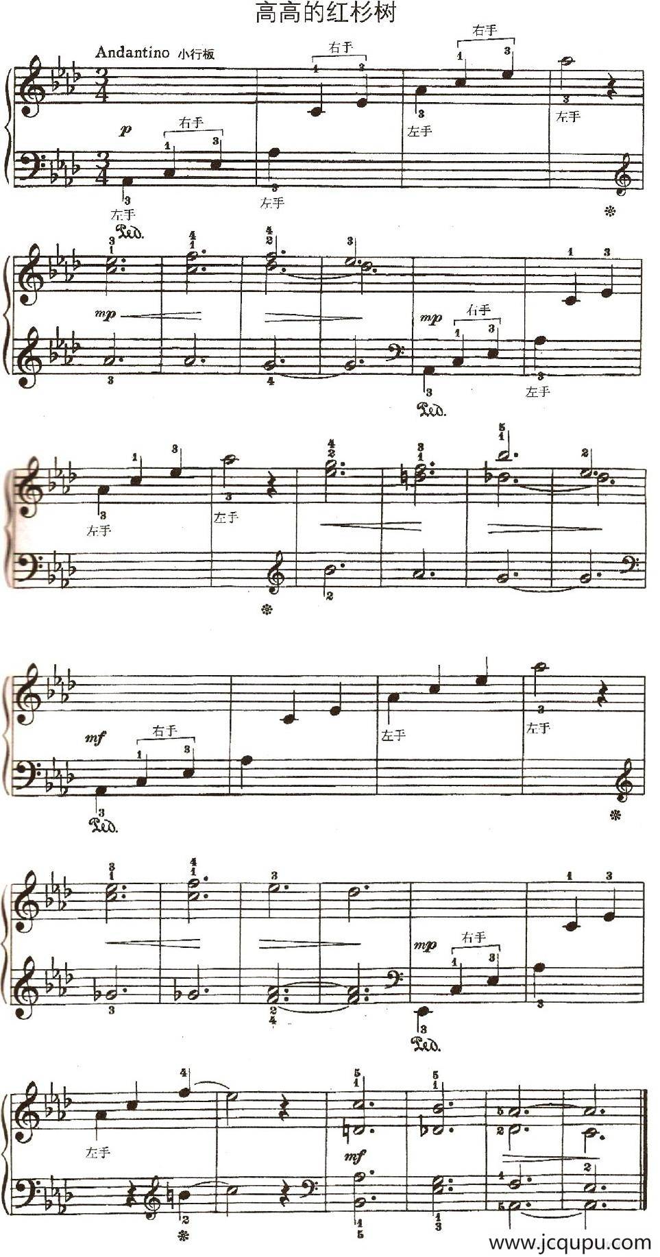 高高的红杉树简谱