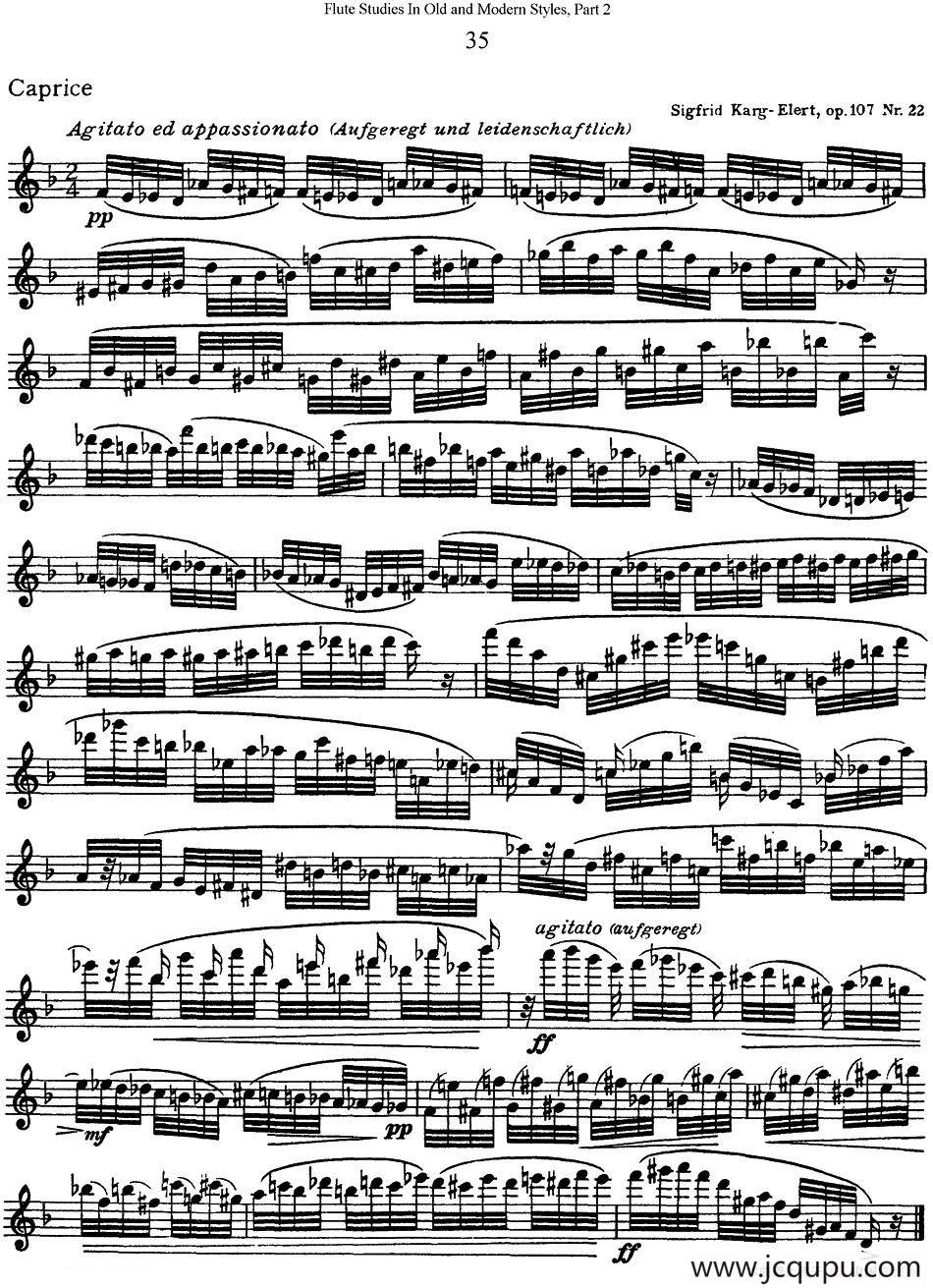 斯勒新老风格长笛练习重奏曲（第二部分）（NO.35）简谱