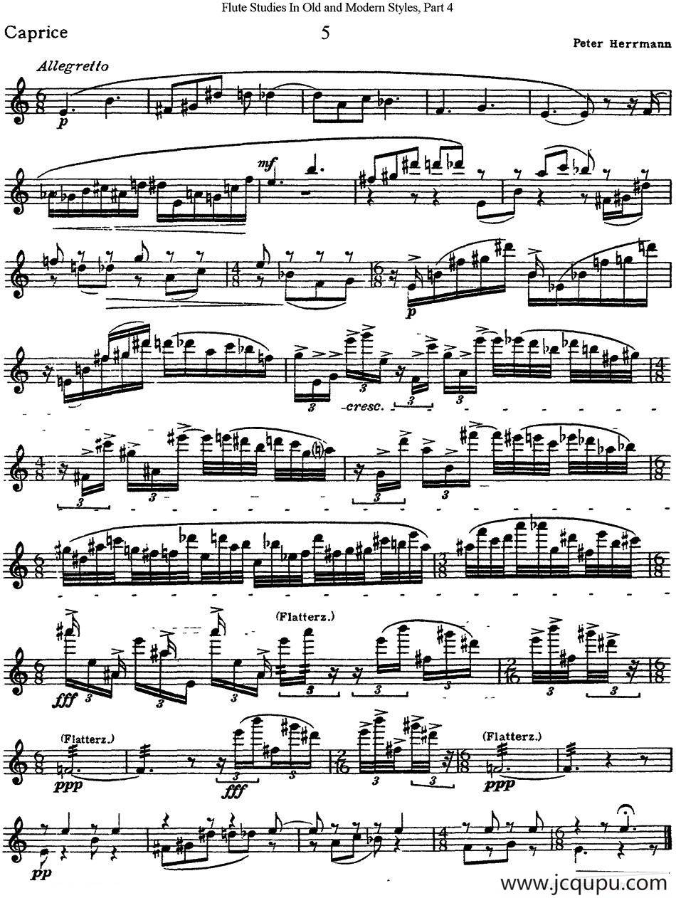 斯勒新老风格长笛练习重奏曲（第四部分）（NO.5）简谱