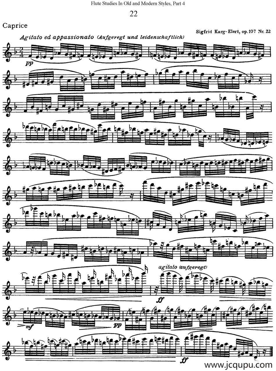 斯勒新老风格长笛练习重奏曲（第四部分）（NO.22）简谱