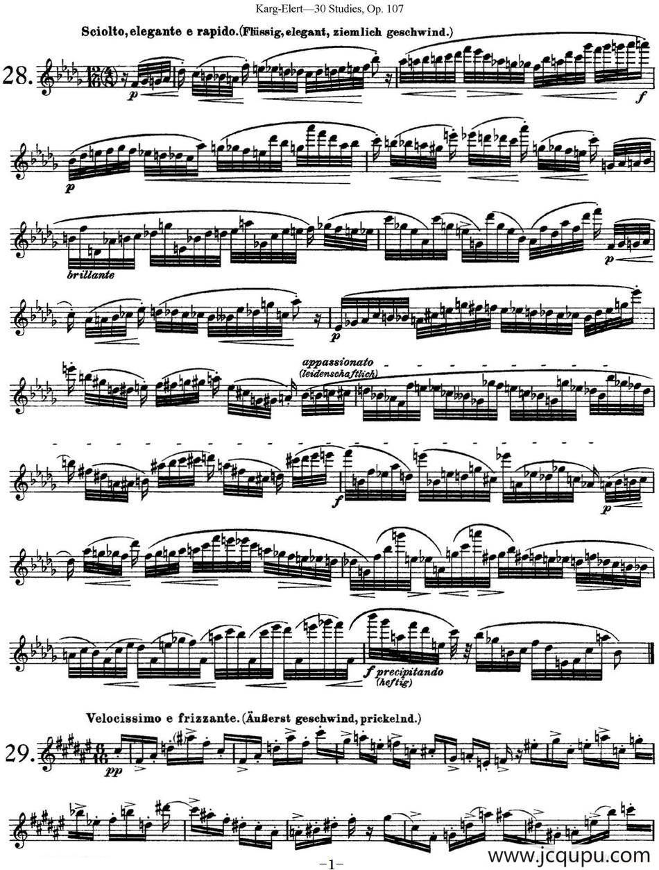 卡-伊勒特30首长笛练习曲Op.107（NO.28-NO.30）简谱