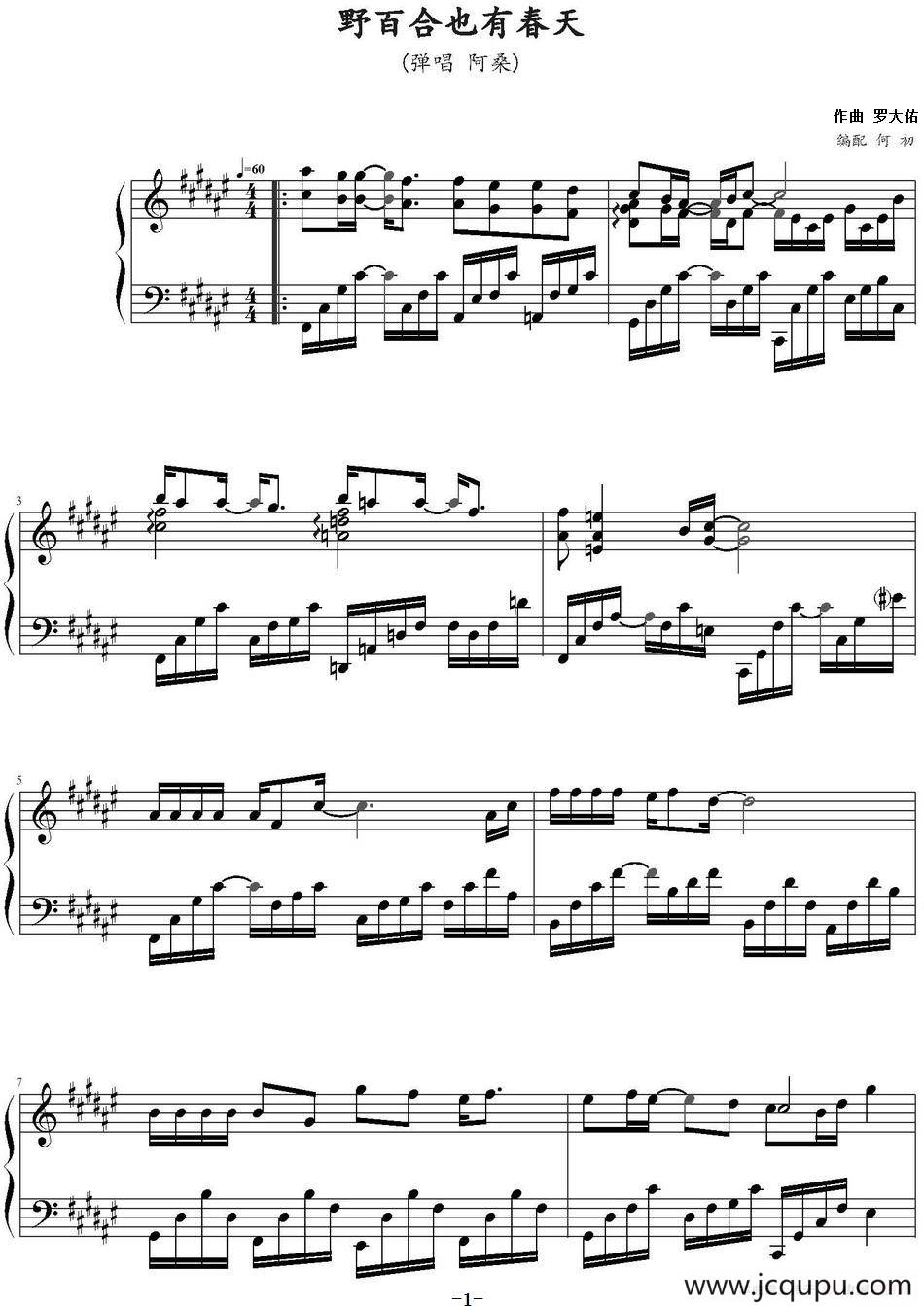 野百合也有春天（何初编配版）简谱
