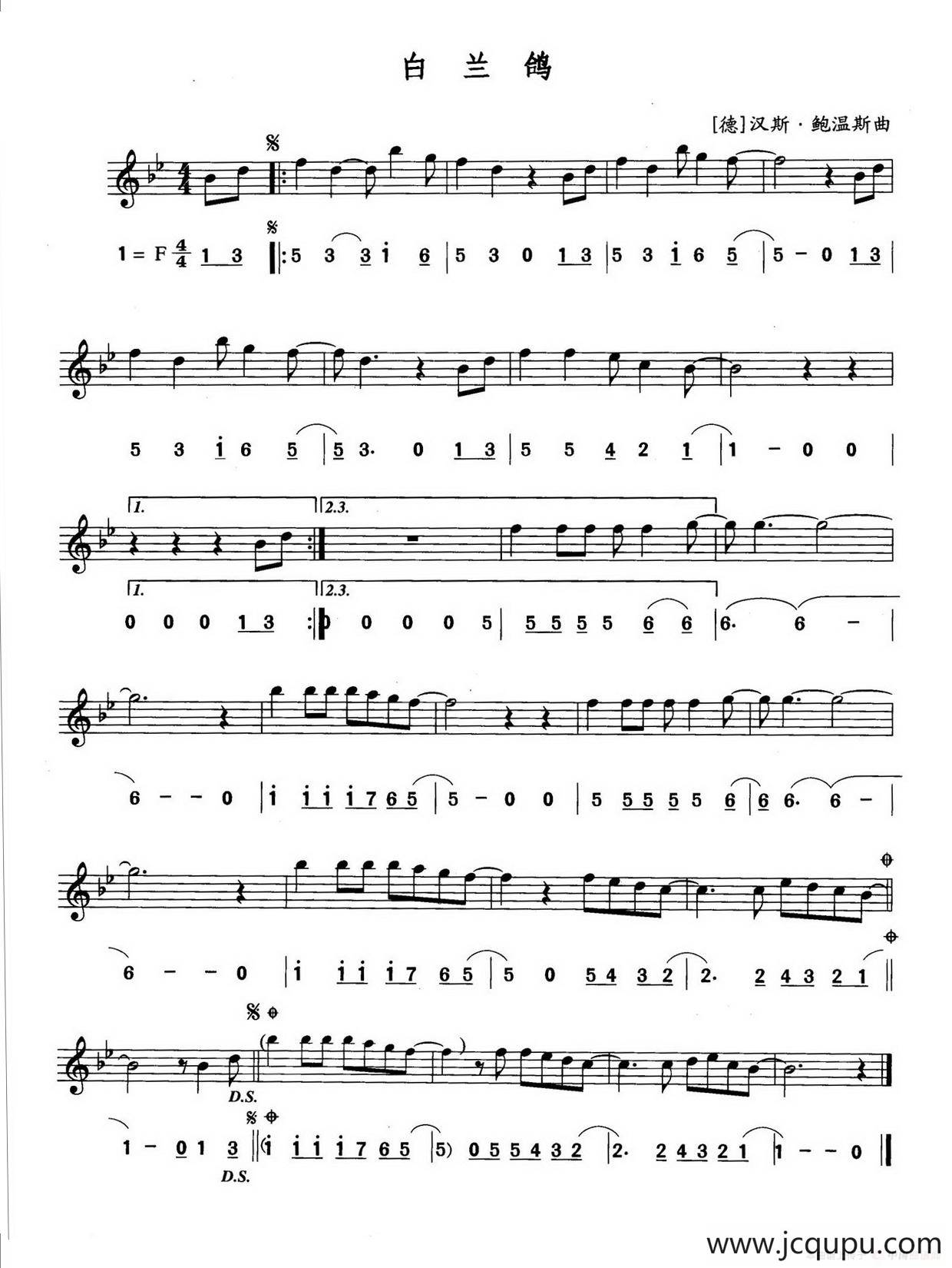 白兰鸽（线简谱对照版）简谱