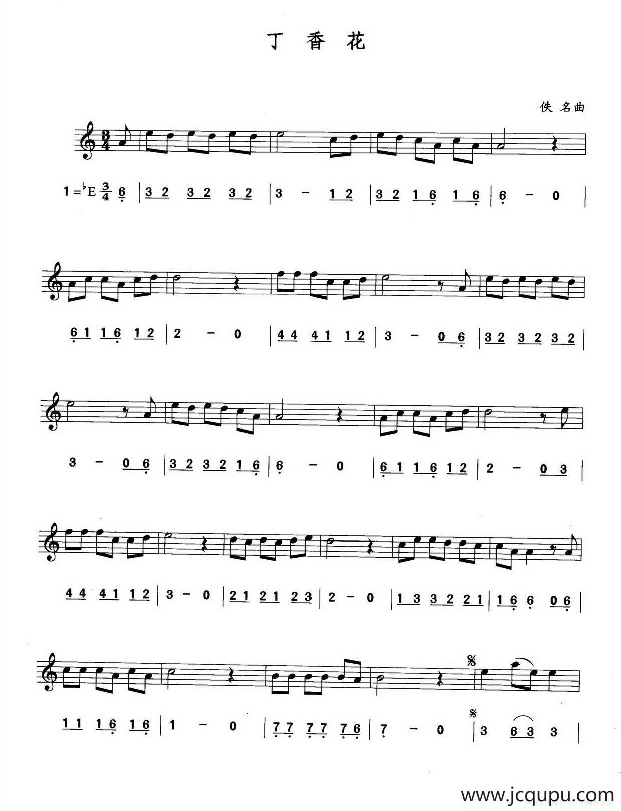 丁香花（线简谱对照版）简谱