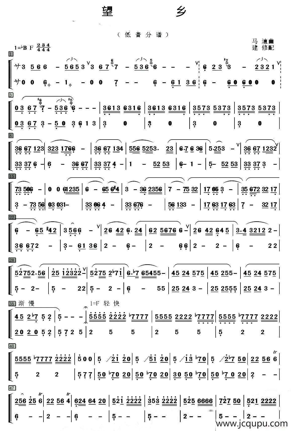 望乡（笛子独奏+乐队伴奏低音分谱）简谱