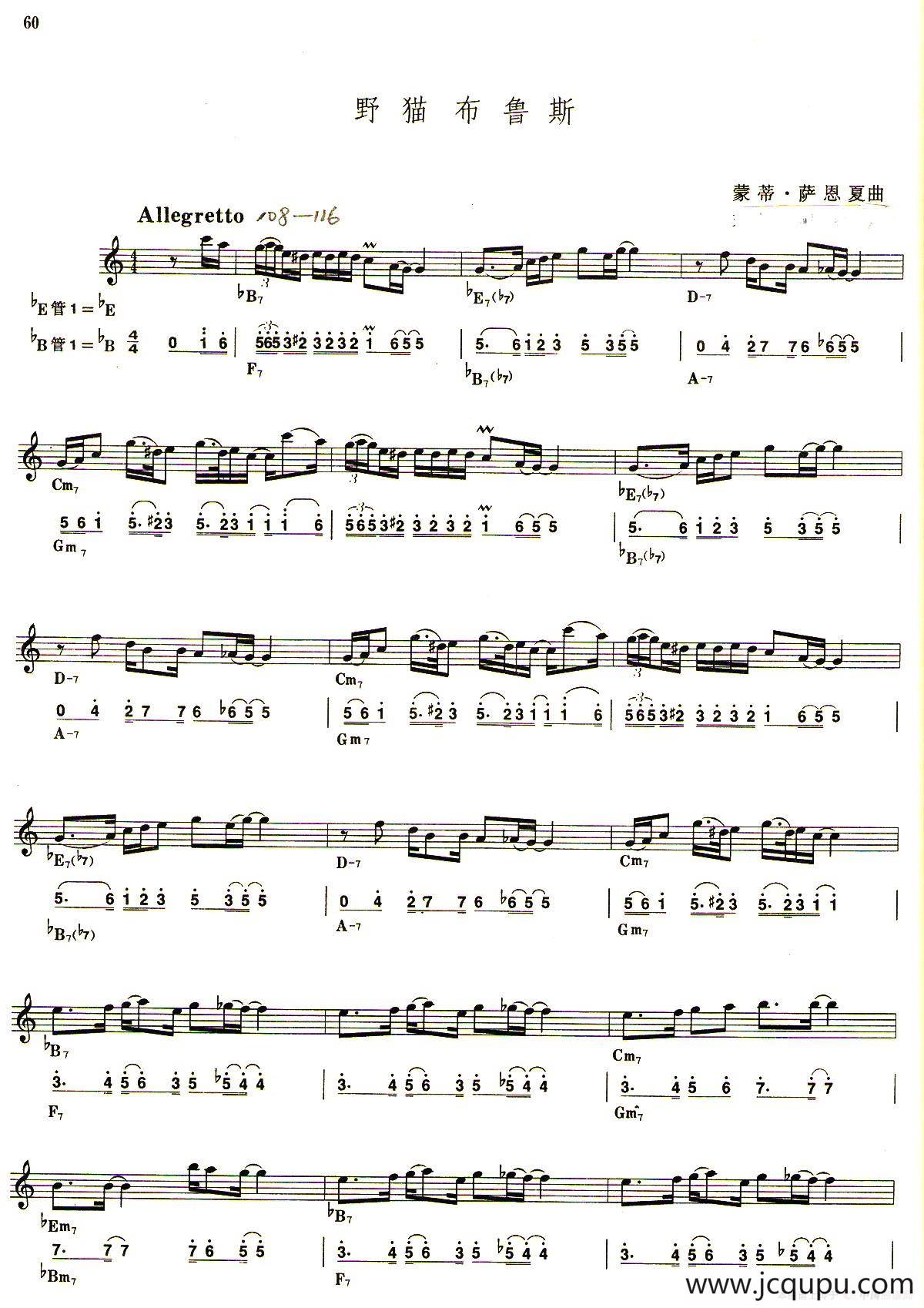 野猫布鲁斯（线简谱对照版）简谱