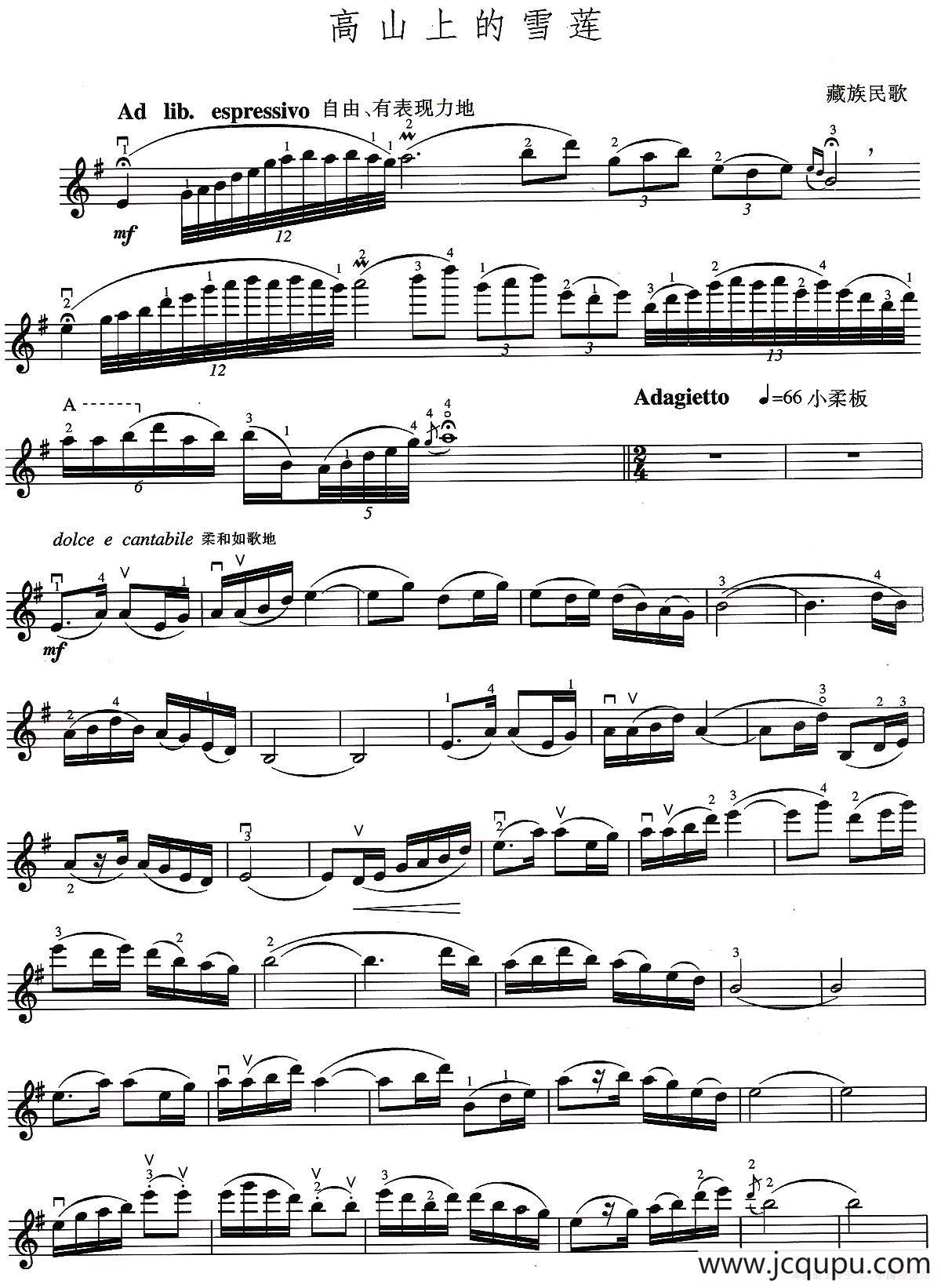 高山上的雪莲简谱