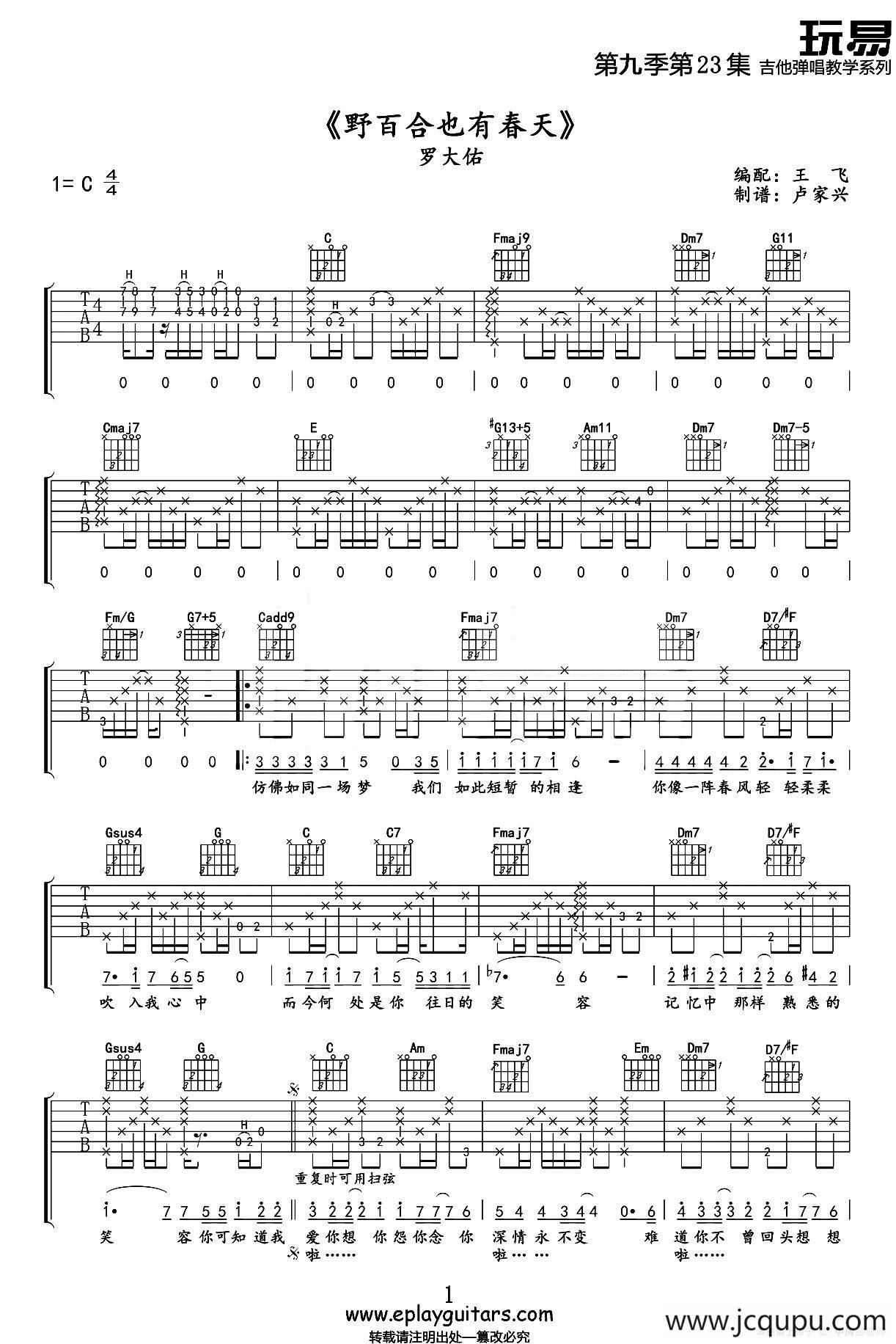 野百合也有春天（王飞编配版）简谱