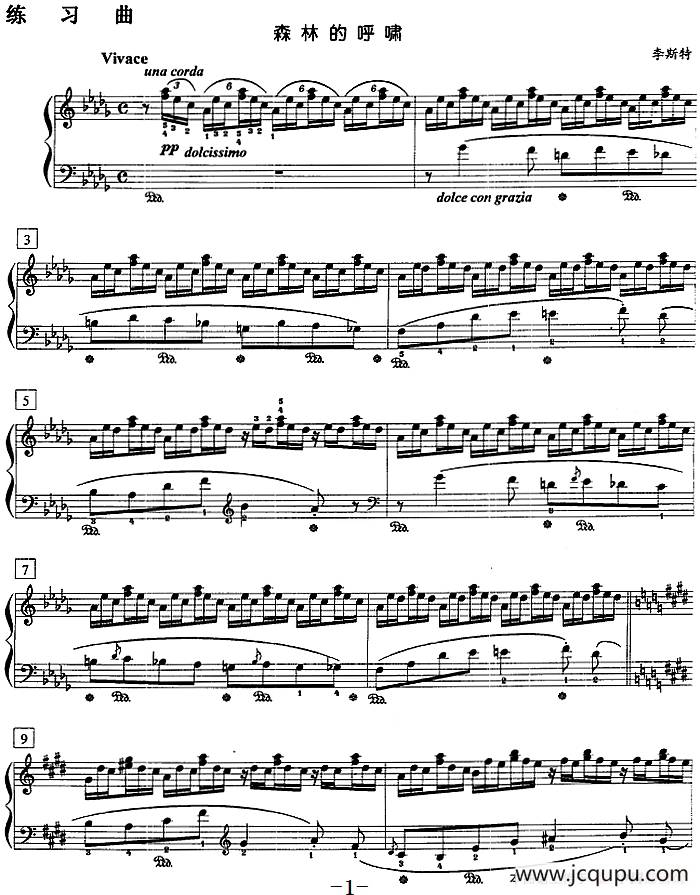 钢琴教程第八级 练习曲（森林的呼啸）简谱