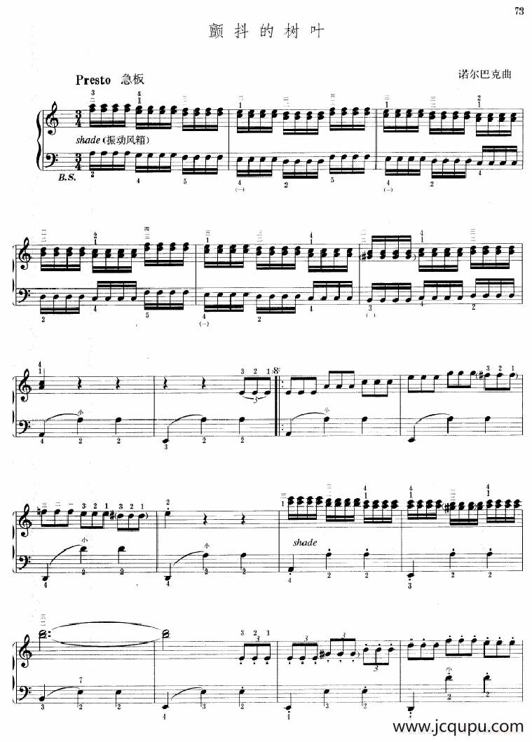 颤抖的叶子简谱