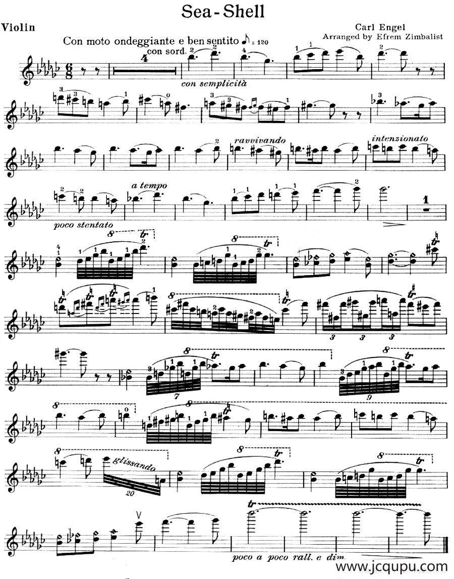 Sea Shell简谱