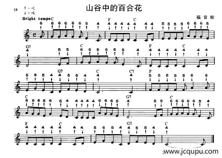 山谷中的百合花（布鲁斯）简谱