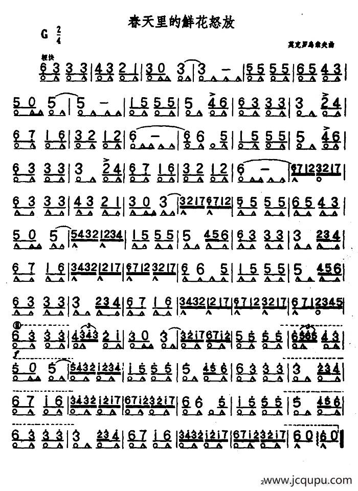 春天里的鲜花怒放简谱