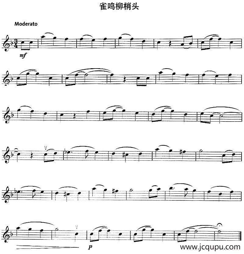 雀鸣柳梢头简谱