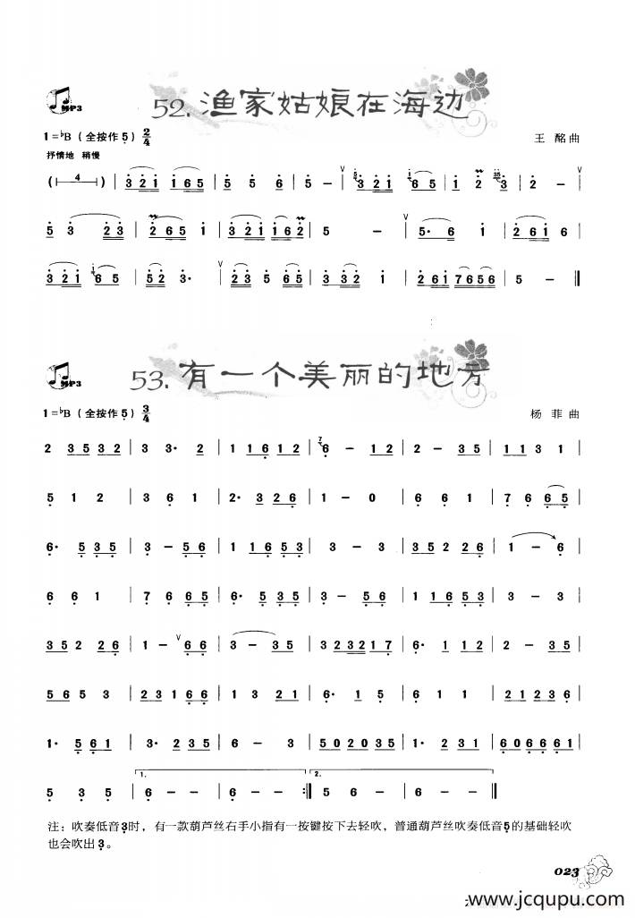 葫芦丝曲精选：渔家姑娘在海边 有一个美丽的地方简谱