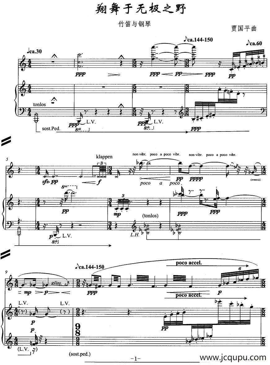 翔舞于无极之野（竹笛+钢琴）简谱