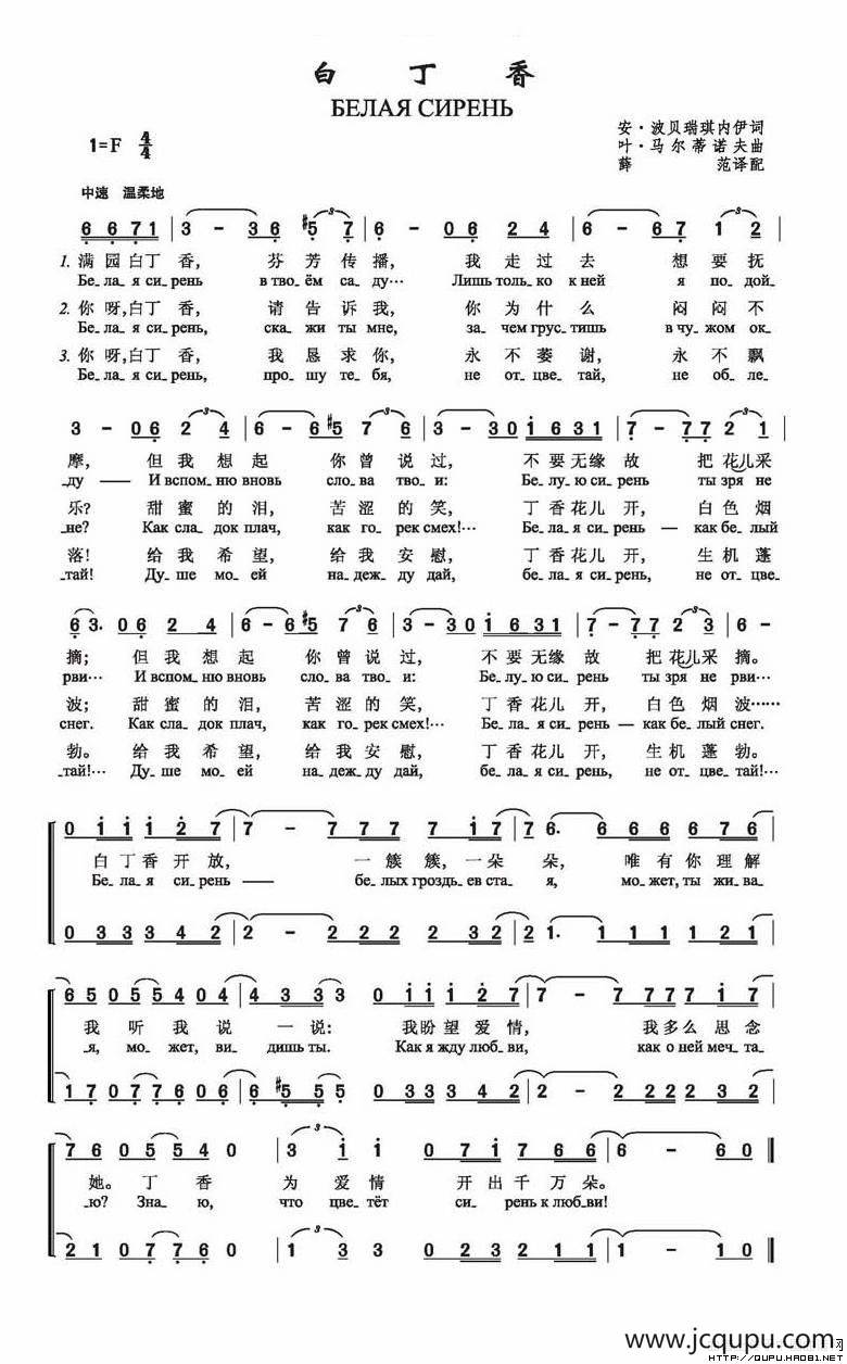 白丁香（俄）简谱