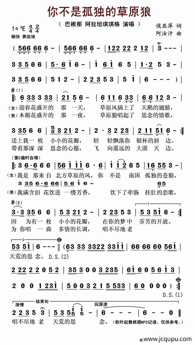 你不是孤独的草原狼简谱