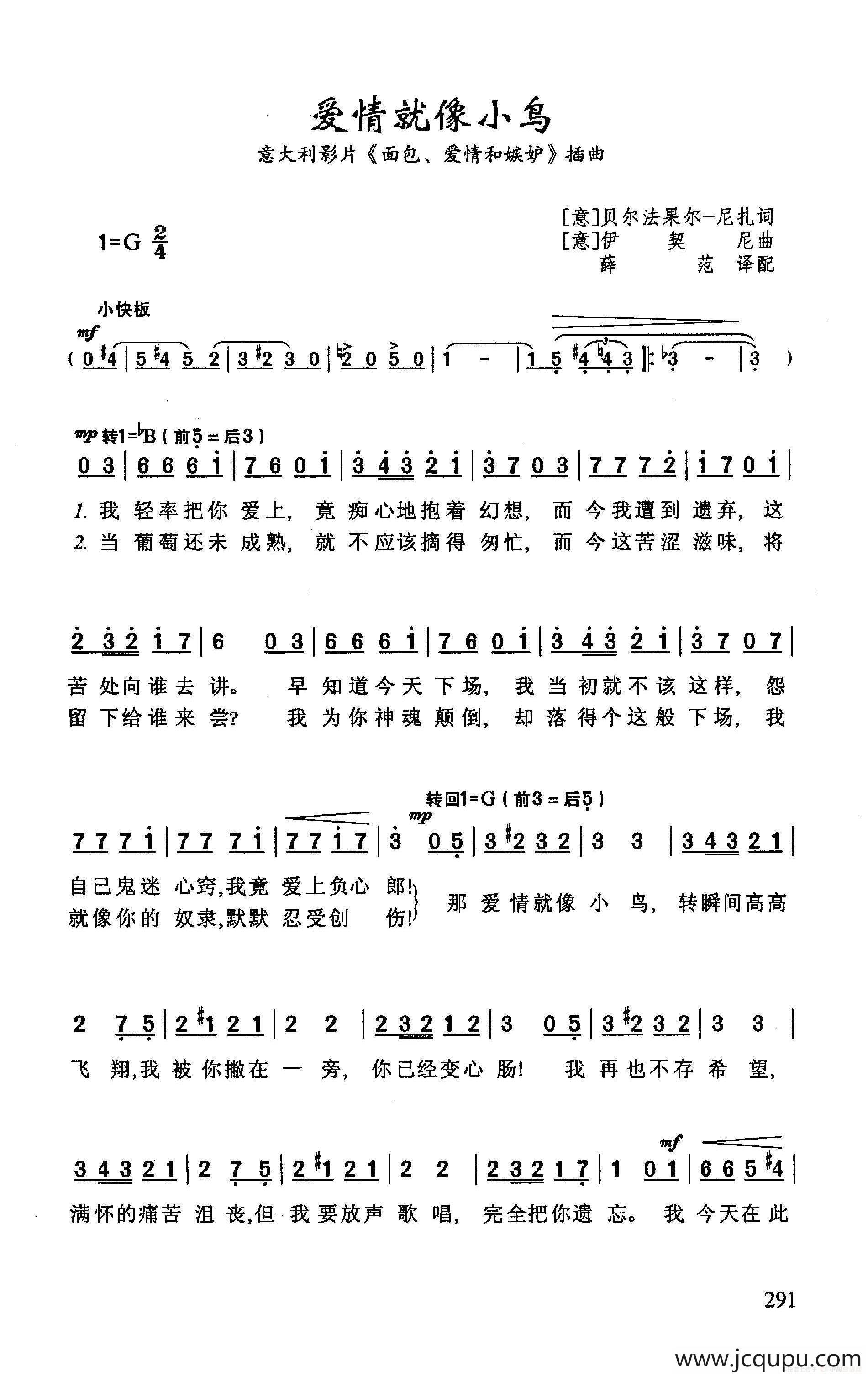 爱情就像小鸟简谱