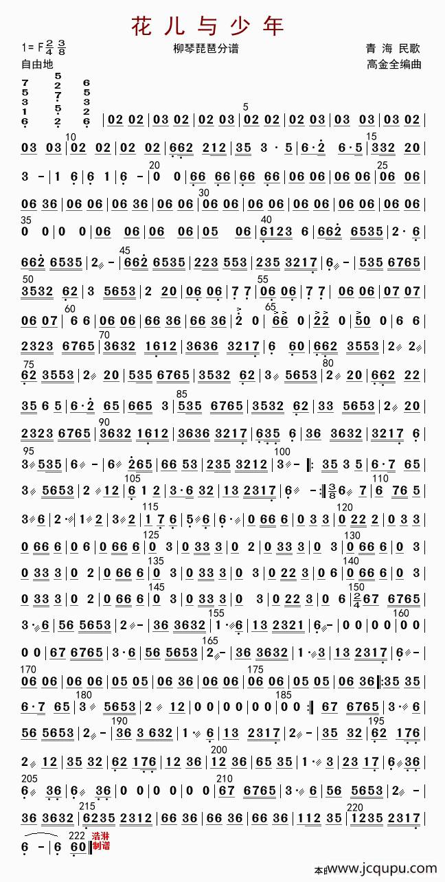 花儿与少年（琵琶分谱）简谱