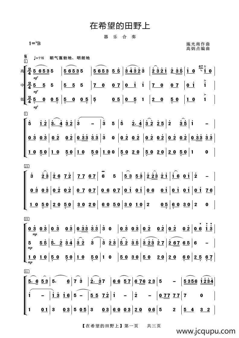 在希望的田野上（器乐合奏）简谱