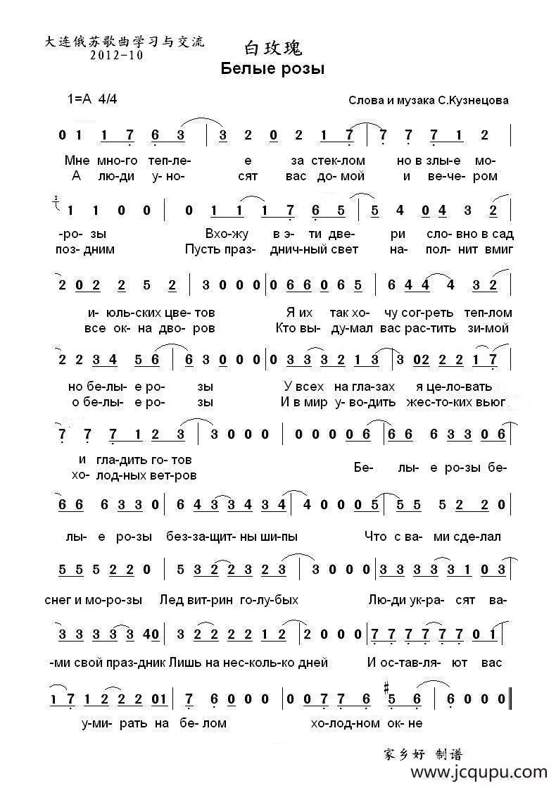 白玫瑰 Белые розы （中俄简谱）简谱