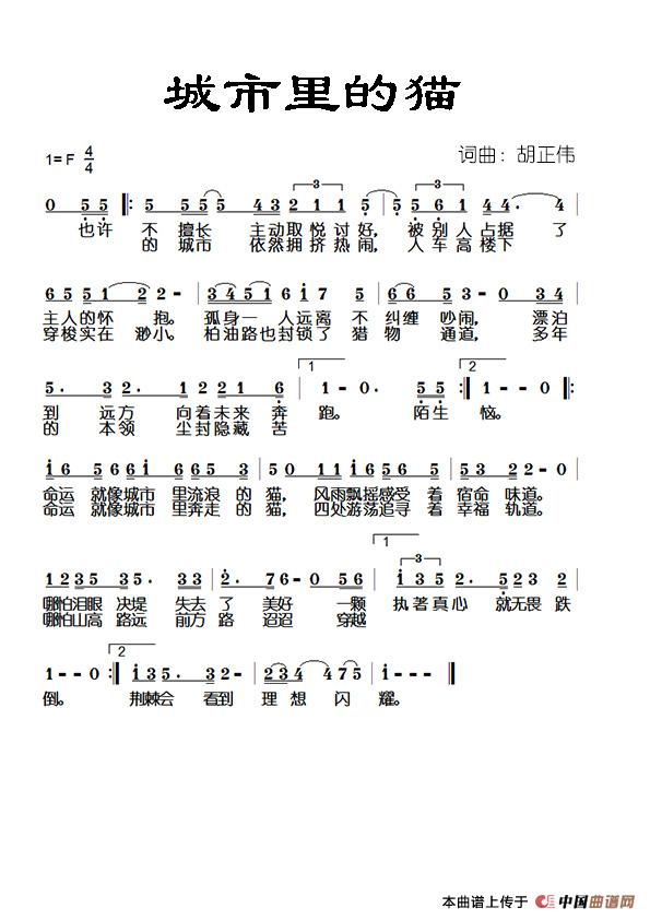 城市里的猫简谱