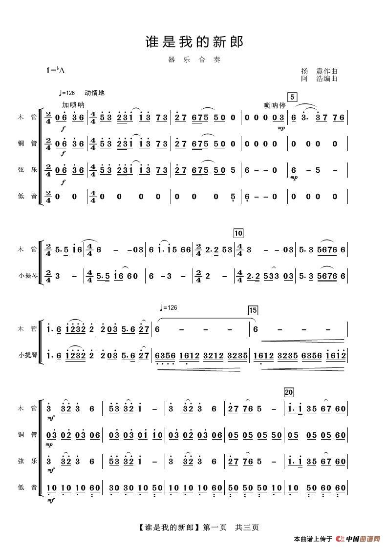 谁是我的新郎（器乐合奏）简谱
