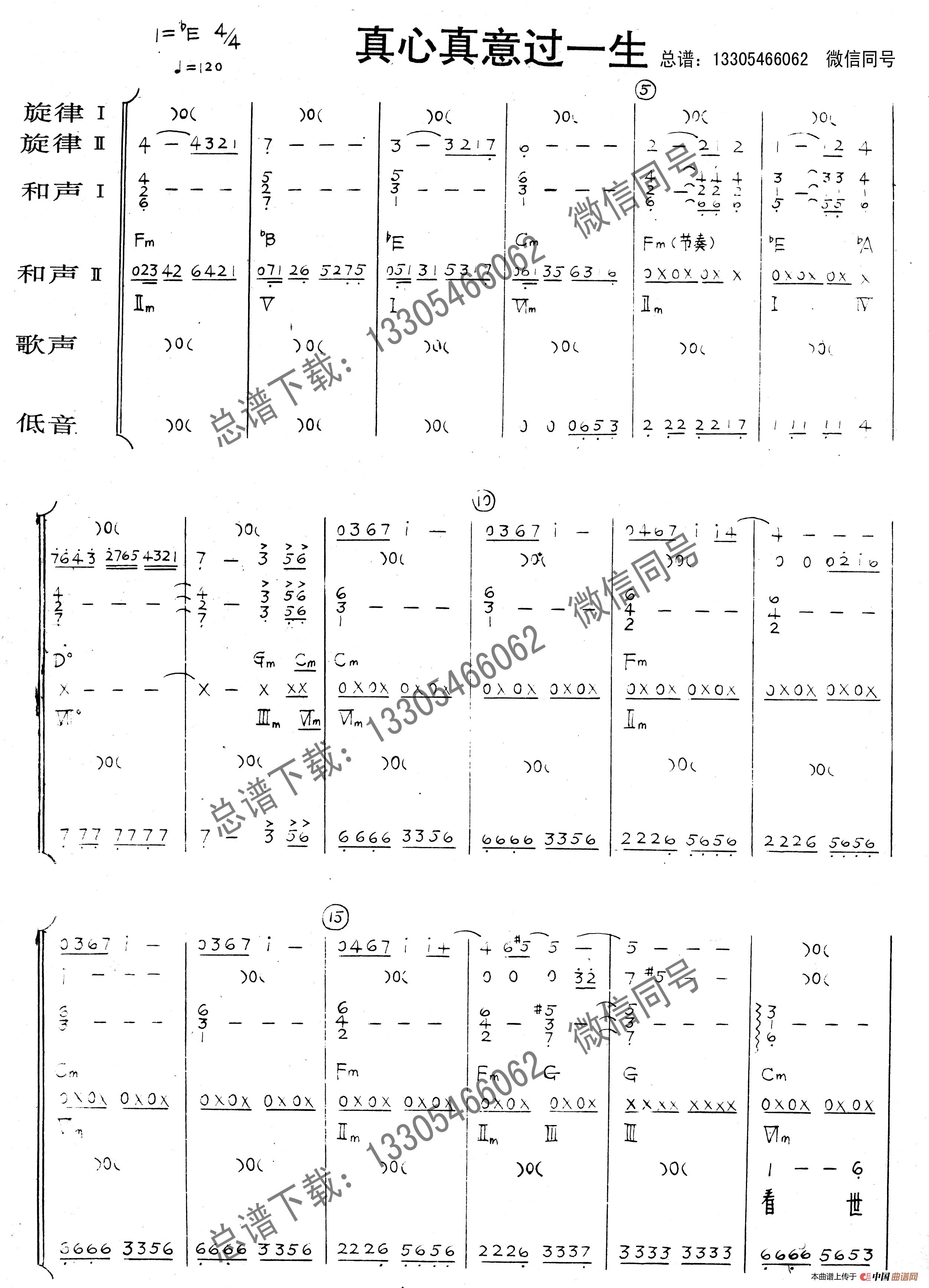 真心真意过一生（乐队总谱）简谱