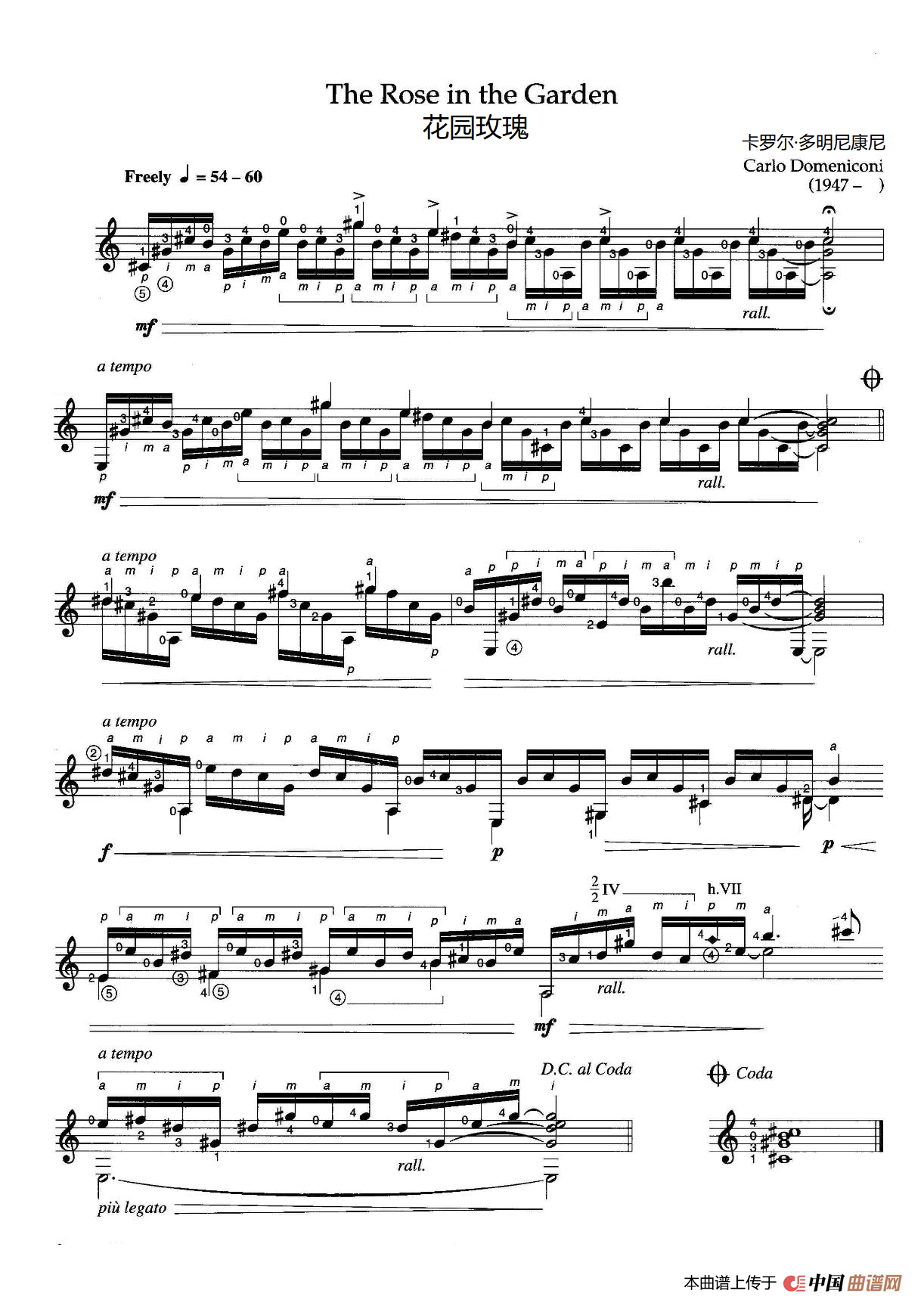 花园玫瑰 （ The Rose in the Garden）简谱