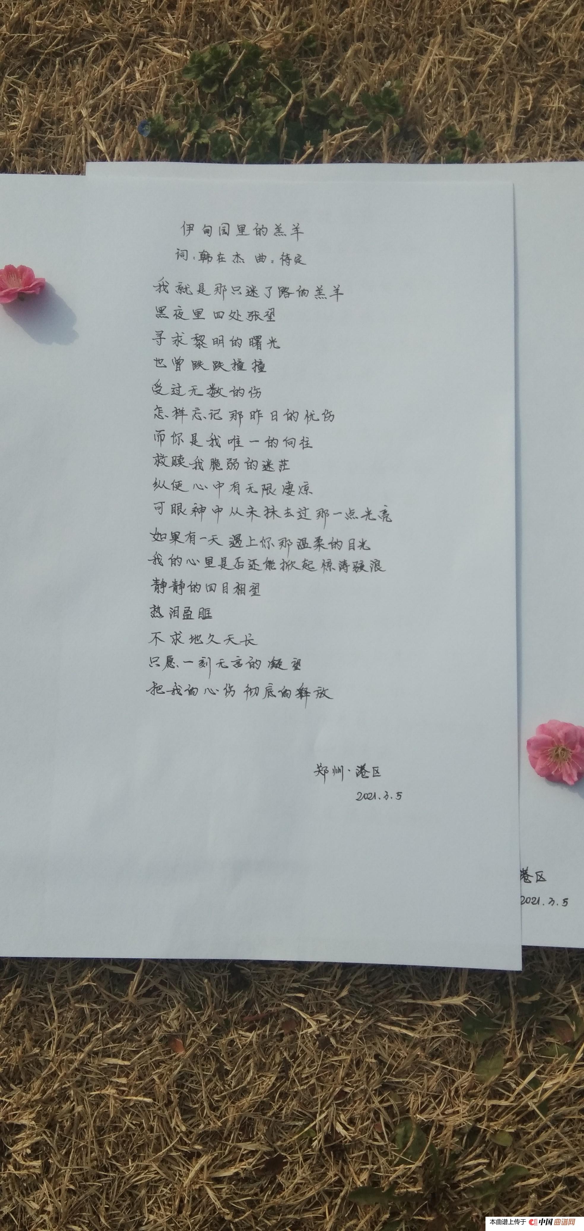 伊甸园里的羔羊简谱