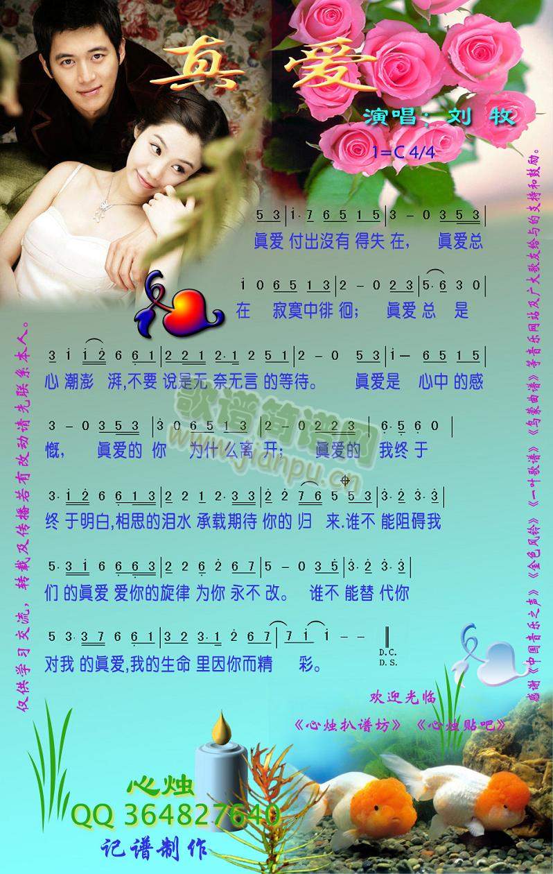 真爱[彩谱]简谱