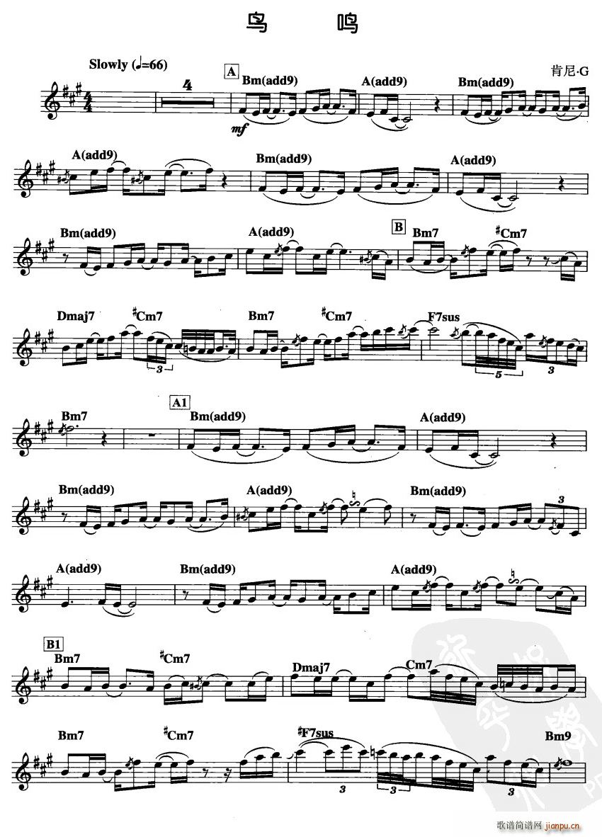 鸟鸣简谱