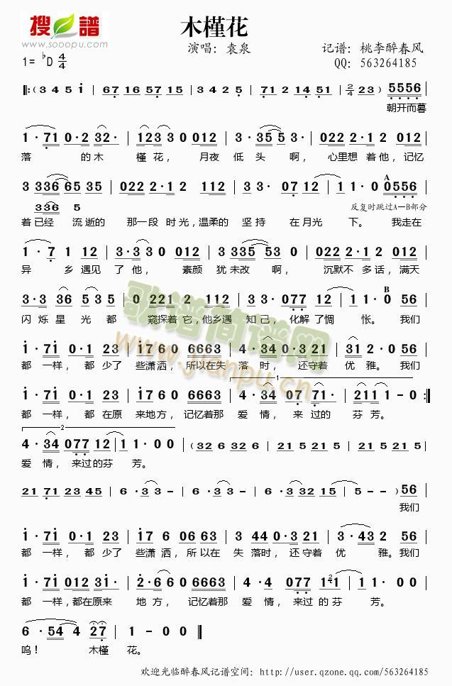 木槿花简谱