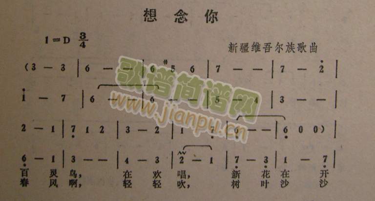 想念你简谱