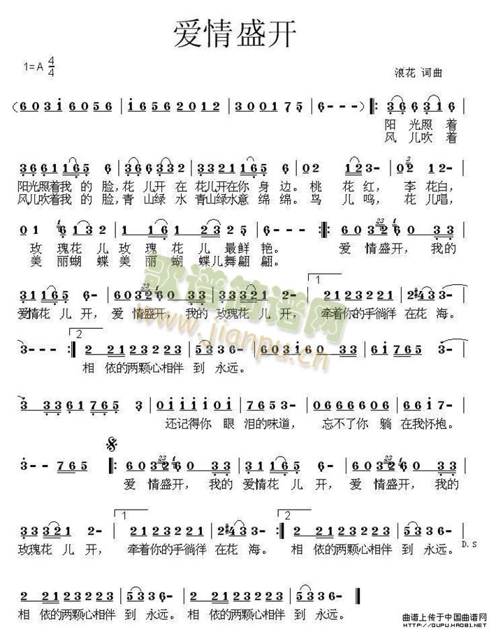 爱情盛开简谱