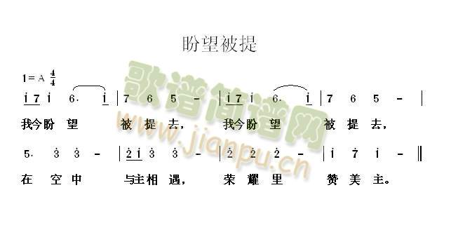 盼望被提简谱