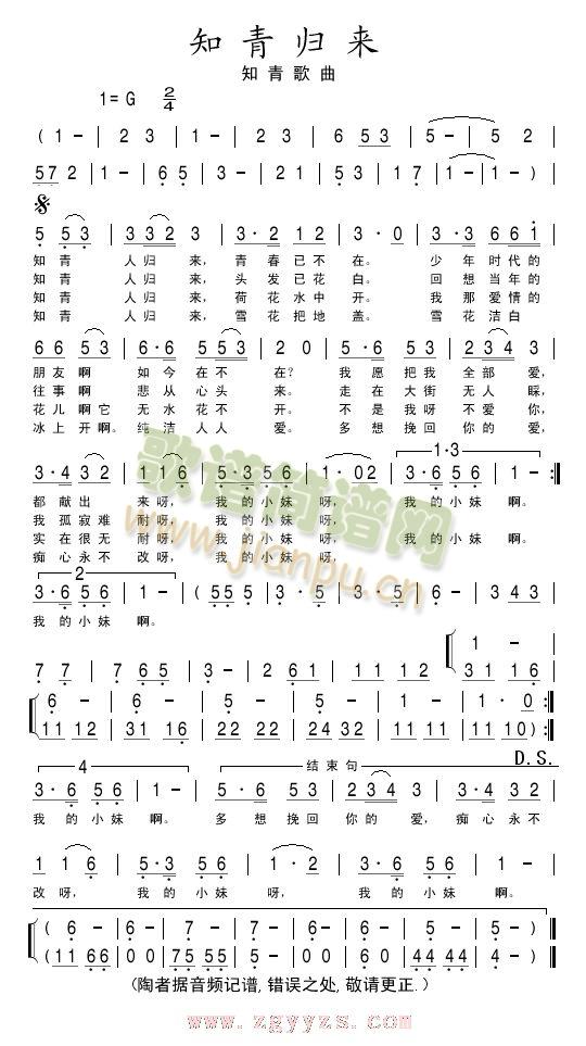 知青归来简谱