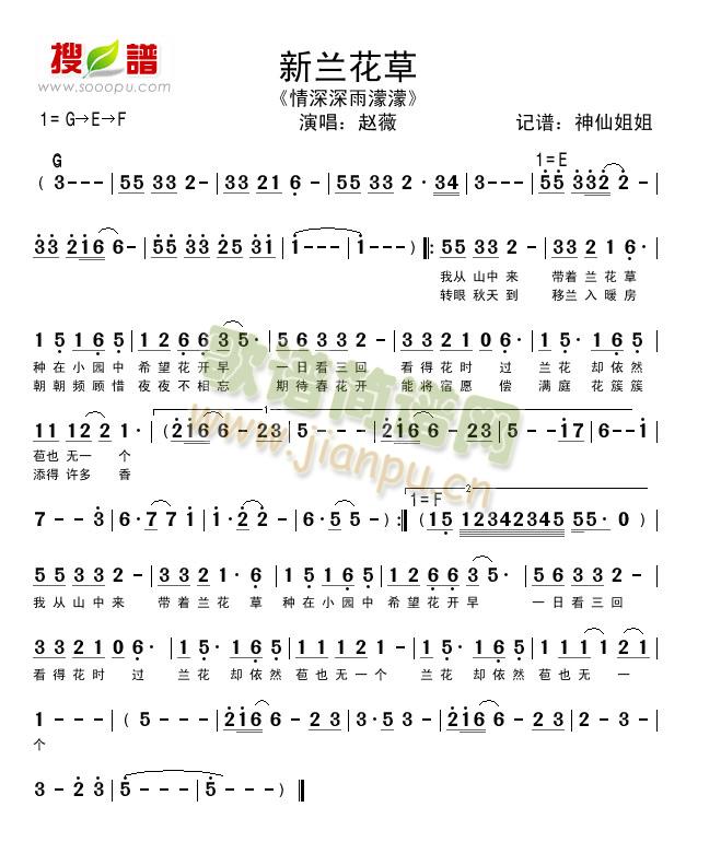 新兰花草《情深深雨濛濛》简谱
