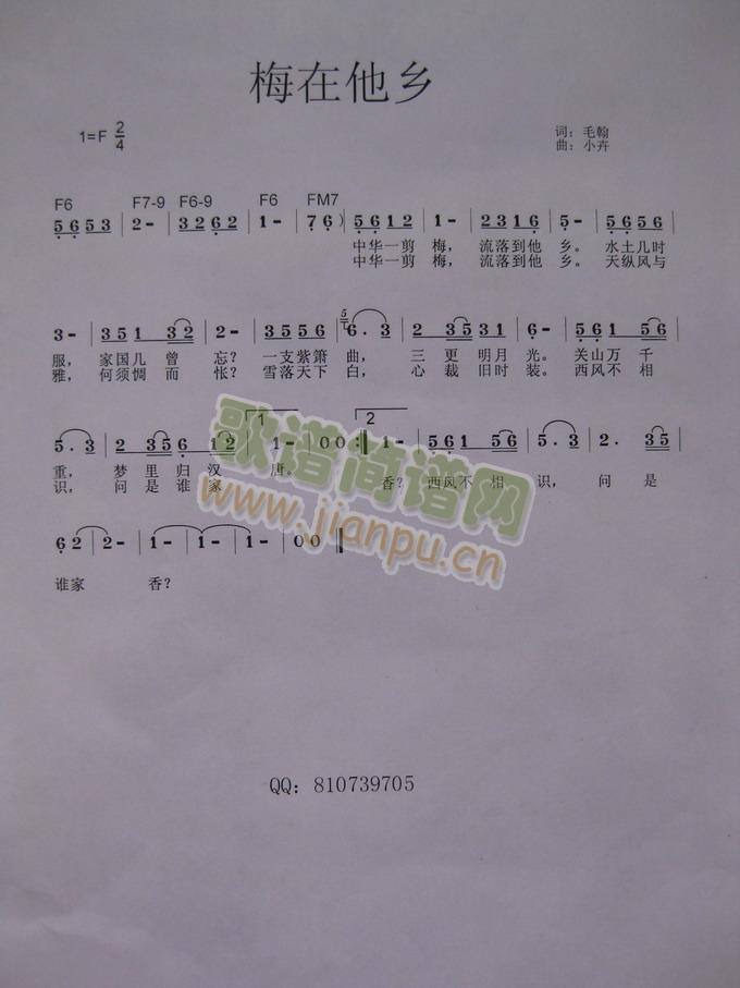 梅在他乡简谱