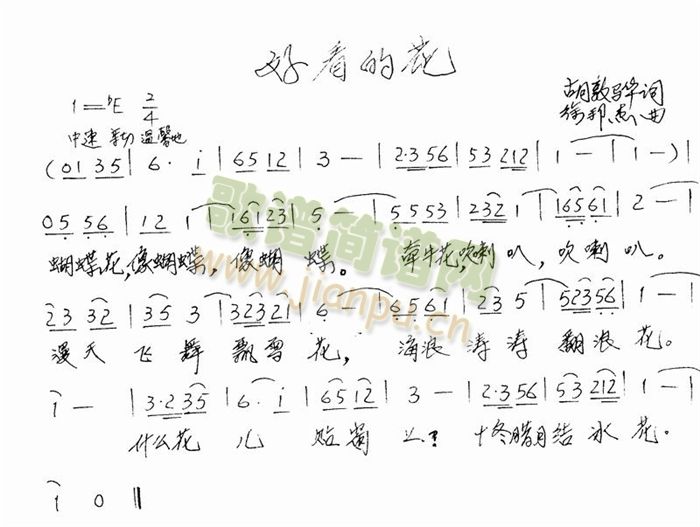 好看的花简谱