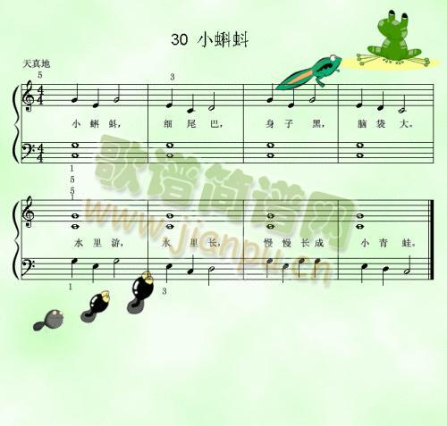 小蝌蚪.简谱