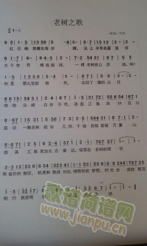 老树之歌简谱