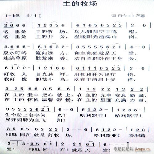 主的牧场简谱