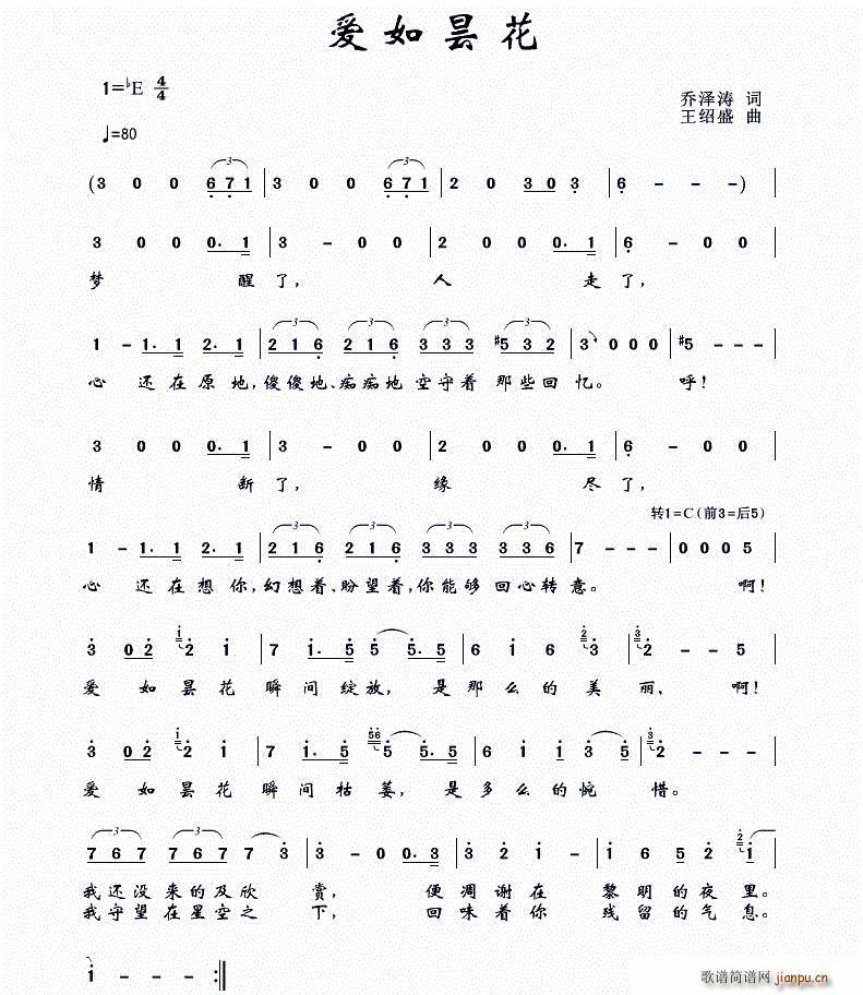 爱如昙花简谱