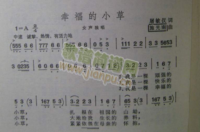 幸福的小草简谱