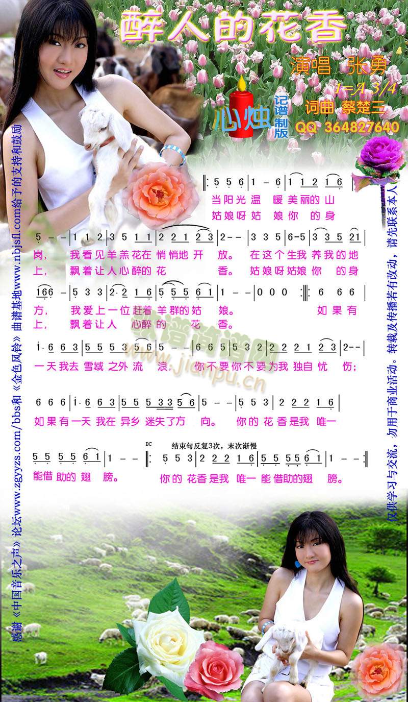 醉人的花香简谱